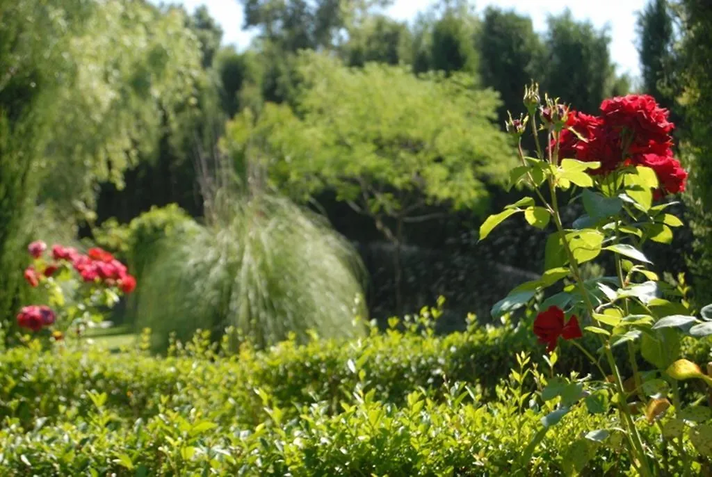 Pensjonat Finca La Vega Cazalla de la Sierra Gospodarstwo wiejskie
