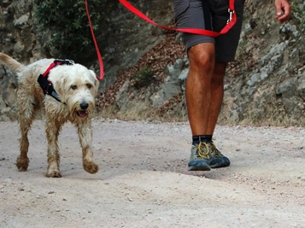 Pensjonat Finca La Vega Cazalla de la Sierra